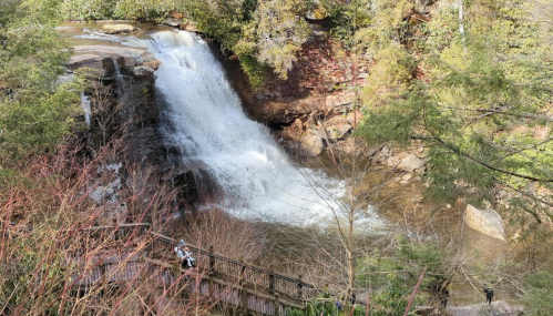 A scenic waterfall surrounded by lush greenery and a wooden walkway, with a person sitting nearby.