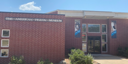 Exterior of the American Pigeon Museum, featuring a brick facade and banners, under a clear blue sky.