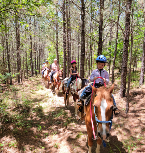 A group of children and adults riding horses along a wooded trail in a sunny forest.