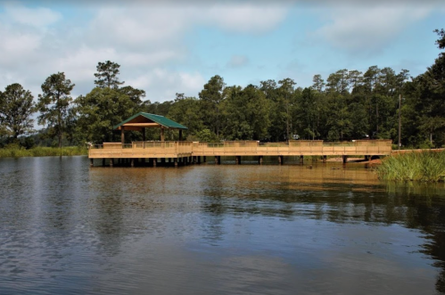 A wooden dock with a green roof extends over a calm lake, surrounded by trees and a cloudy sky.