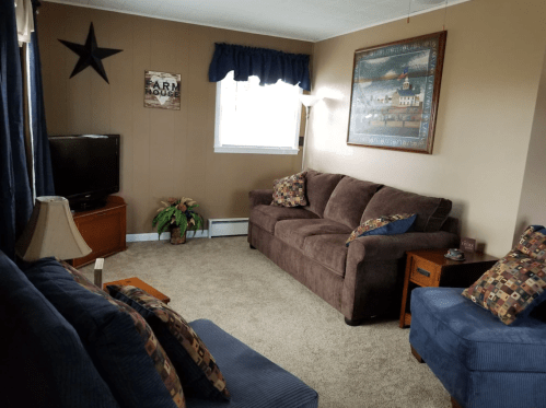 Cozy living room with brown sofas, a TV, decorative pillows, a plant, and a wall painting in warm tones.