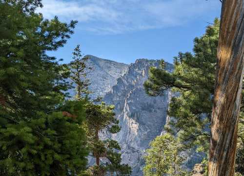 A scenic view of rugged mountains framed by lush green trees under a clear blue sky.