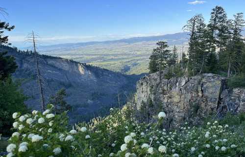 A scenic view of a valley from a rocky cliff, surrounded by trees and blooming white flowers under a clear blue sky.