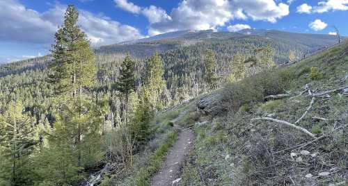 A winding trail through a lush forest, surrounded by tall trees and mountains under a partly cloudy sky.