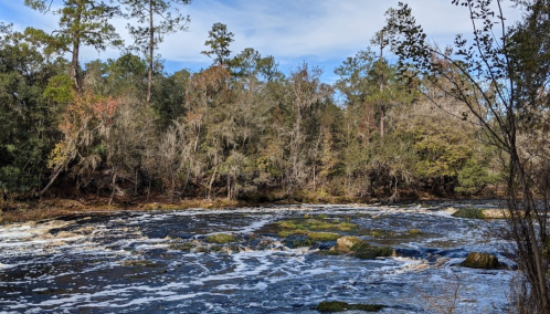 A serene river scene with flowing water, rocky outcrops, and lush trees under a partly cloudy sky.