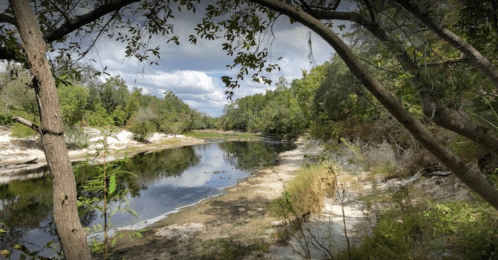 A serene river scene surrounded by lush greenery and sandy banks under a partly cloudy sky.