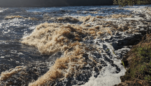 Raging river with brown, foamy water flowing over rocks under sunlight, surrounded by greenery.