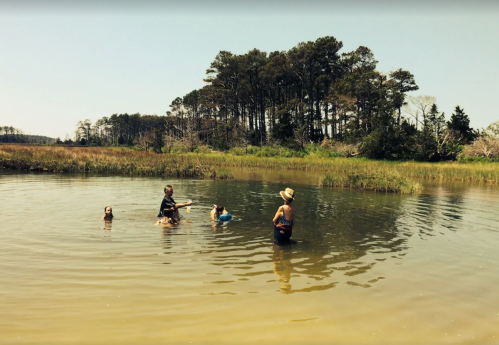 A group of people wading in a calm, shallow water area surrounded by trees and grassy land on a sunny day.