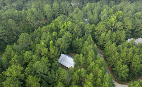 Aerial view of a dense forest with a small cabin nestled among tall green trees and winding paths.