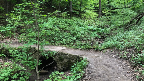 A serene forest path with lush greenery and a small stone bridge over a creek.