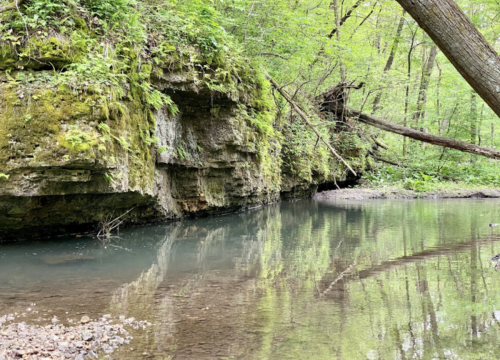A serene forest scene featuring a moss-covered rock formation beside a calm, reflective stream.