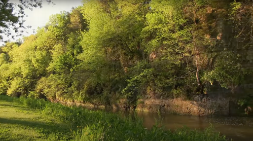 Lush green trees line a serene riverbank, with rocky cliffs in the background under soft sunlight.