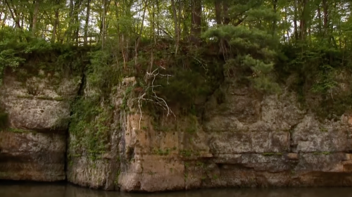 A rocky cliff covered in greenery, reflecting in calm water below, surrounded by lush trees.