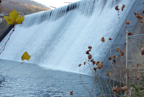 A dam with water cascading over its edge, surrounded by autumn leaves and a calm body of water below.