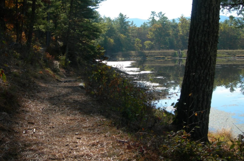 A serene path beside a calm pond, surrounded by trees and distant mountains under a clear sky.