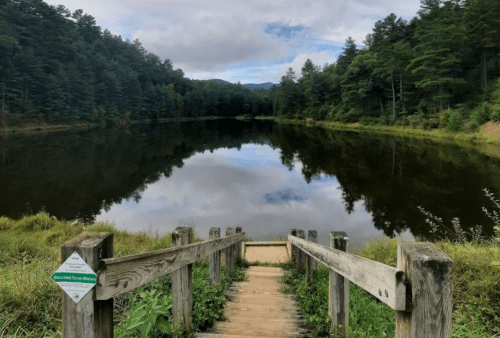 A wooden staircase leads down to a calm lake surrounded by trees and mountains under a cloudy sky.