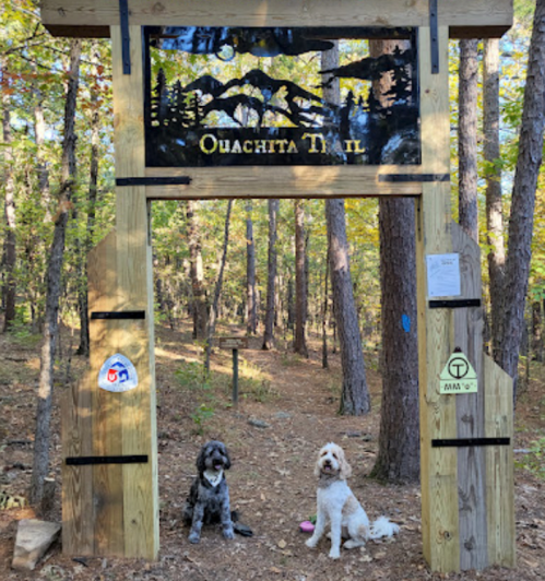Two dogs sit in front of a wooden archway marking the Ouachita Trail, surrounded by trees and autumn foliage.
