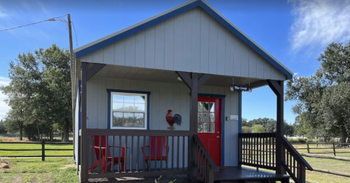 A small blue and gray cabin with a red door, featuring a rooster decoration and a porch with red chairs.