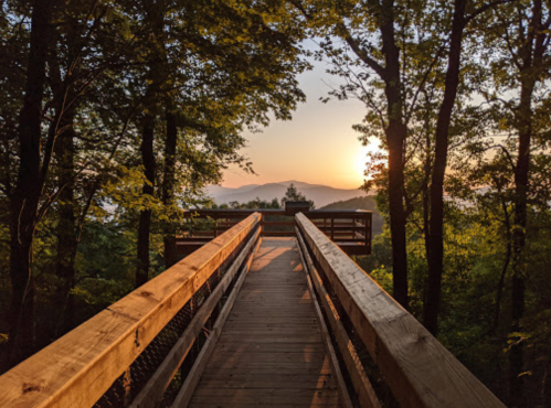 A wooden bridge leads to a scenic view of mountains at sunset, surrounded by lush trees.