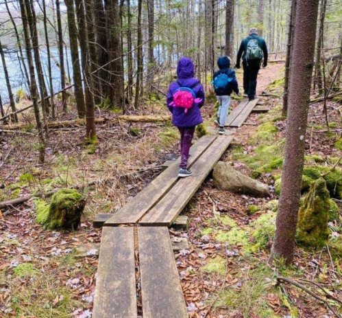 A person and two children walk along a wooden path through a forested area with moss-covered rocks.