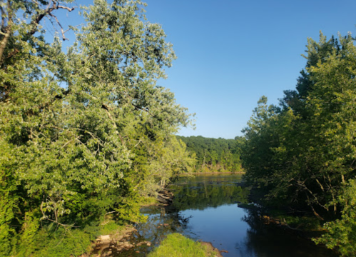 A serene river scene surrounded by lush green trees under a clear blue sky.