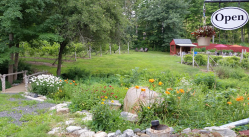 A vibrant garden with flowers, a grassy area, and a sign reading "Open" near a small shed in a serene landscape.