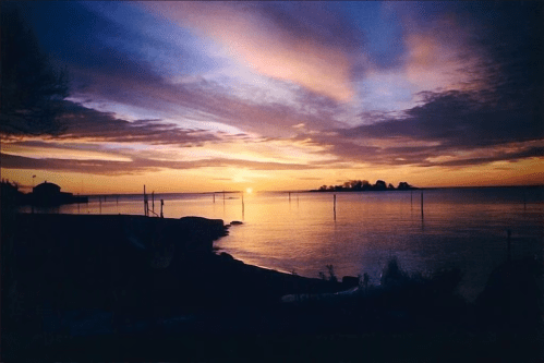 A serene sunset over calm waters, with silhouettes of trees and distant land against a colorful sky.