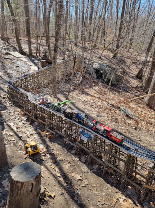 A model train on a wooden track in a forested area, surrounded by trees and rocky terrain.