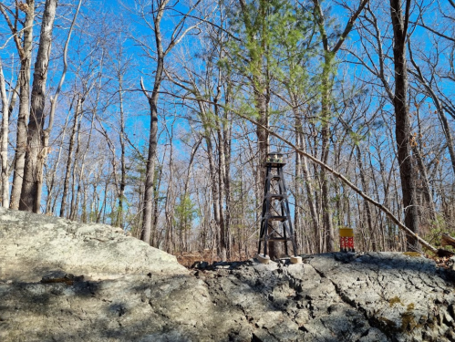 A wooden tower stands on a rocky outcrop, surrounded by bare trees and a clear blue sky.