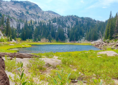 A serene mountain lake surrounded by lush greenery and towering trees, with rocky hills in the background.