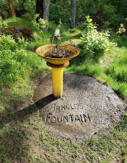 A rustic water fountain with a yellow base, surrounded by greenery, featuring the inscription "Arnold's Fountain."