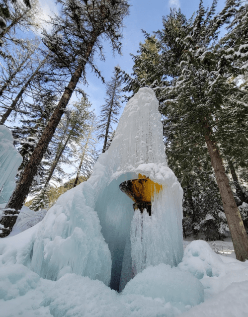 A towering ice formation surrounded by snow-covered trees under a clear blue sky. Water flows from the top.