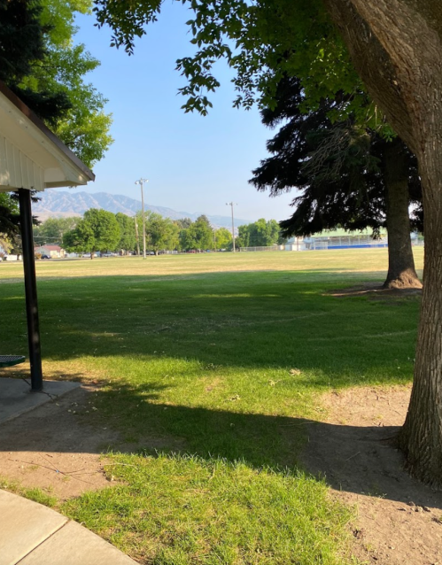 A grassy park area with trees, a clear sky, and distant mountains, viewed from a shaded pavilion.