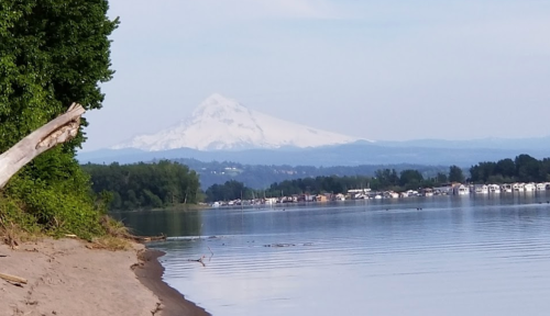 A serene lakeside view with a sandy shore and a snow-capped mountain in the background under a clear sky.