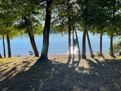 A serene lakeside scene with trees casting shadows, a beach, and a person hanging from a tree near the water.