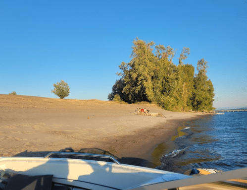 A sandy beach with trees in the background, viewed from a boat on calm water under a clear blue sky.