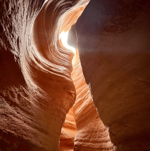A narrow canyon with smooth, wavy walls and a bright light shining from above.