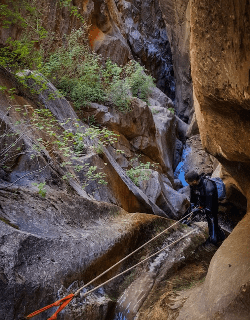 A person rappelling down a rocky canyon with greenery, navigating a narrow waterway below.