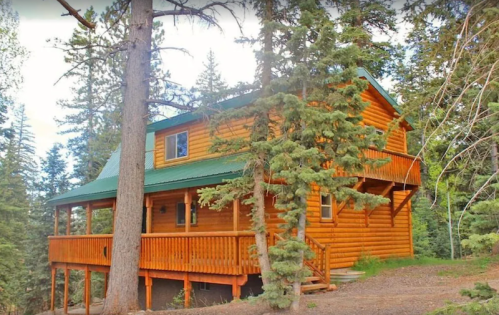 A wooden cabin surrounded by tall trees, featuring a green roof and a spacious porch.
