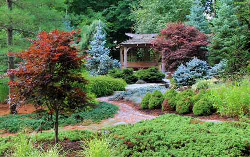 Lush garden with colorful trees, shrubs, and a wooden gazebo surrounded by greenery and a winding path.
