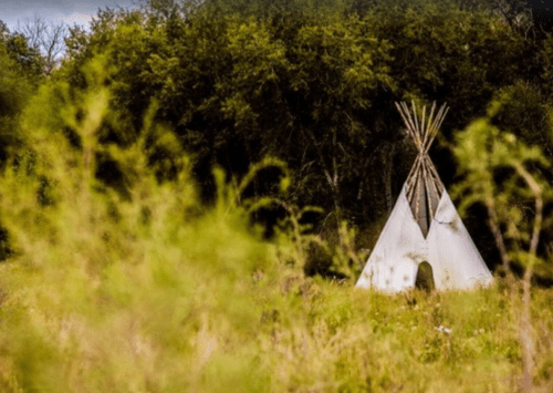 A white teepee stands in a grassy field, surrounded by trees and greenery under a cloudy sky.