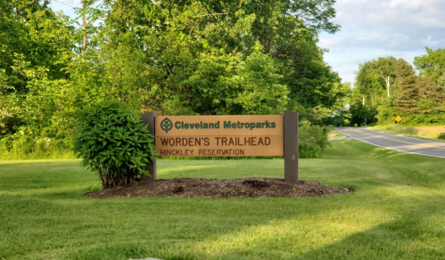 Sign for Worden's Trailhead at Hinckley Reservation, Cleveland Metroparks, surrounded by greenery and a road.