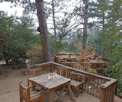 Wooden tables and benches on a deck surrounded by trees and greenery, with a bear climbing a nearby tree.