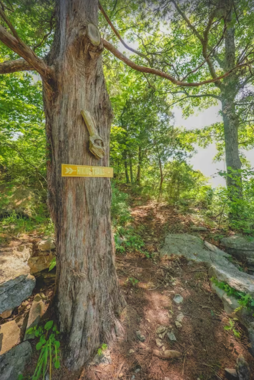 A wooden sign pointing to a hiking trail attached to a tree, surrounded by lush greenery and rocky terrain.