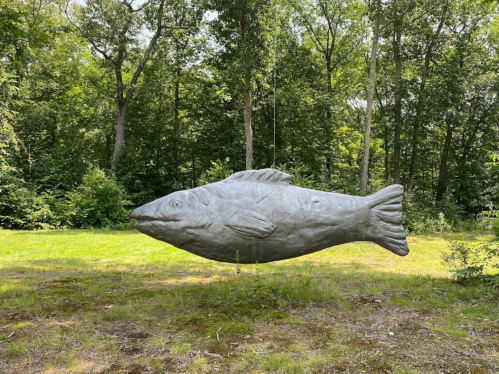 A large, suspended fish sculpture hangs in a wooded area, surrounded by greenery and grass.