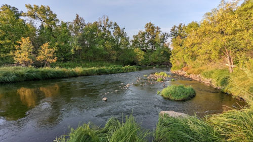 A serene river flows through a lush green landscape, surrounded by trees and grasses under a clear sky.