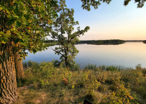 A serene lakeside view at sunset, framed by trees and lush greenery, reflecting calm waters.