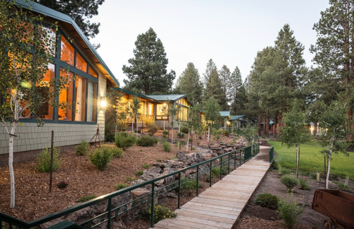 A pathway leads to modern cabins surrounded by trees and landscaped gardens in a serene outdoor setting.
