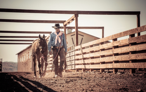 A cowboy leads a horse along a dusty path in a rustic barn setting under a clear sky.