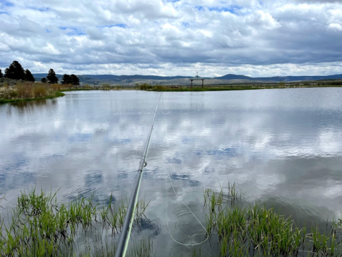 A fishing rod extends over a calm lake, reflecting clouds and mountains, with grassy edges and a gazebo in the distance.